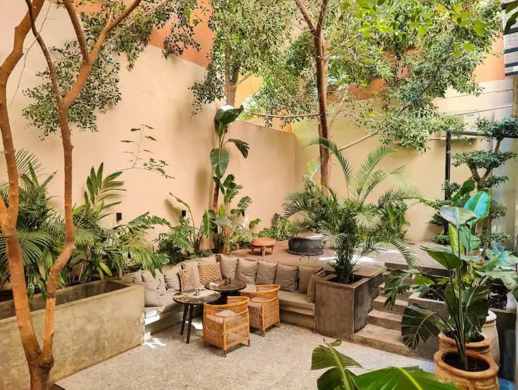Bloom House Marrakech: The Wellness Sanctuary Hiding in Plain Sight in Guéliz